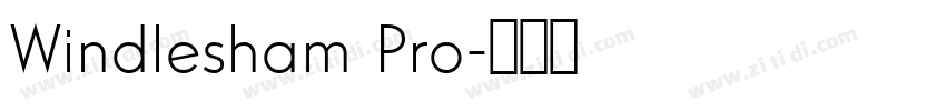 Windlesham Pro字体转换